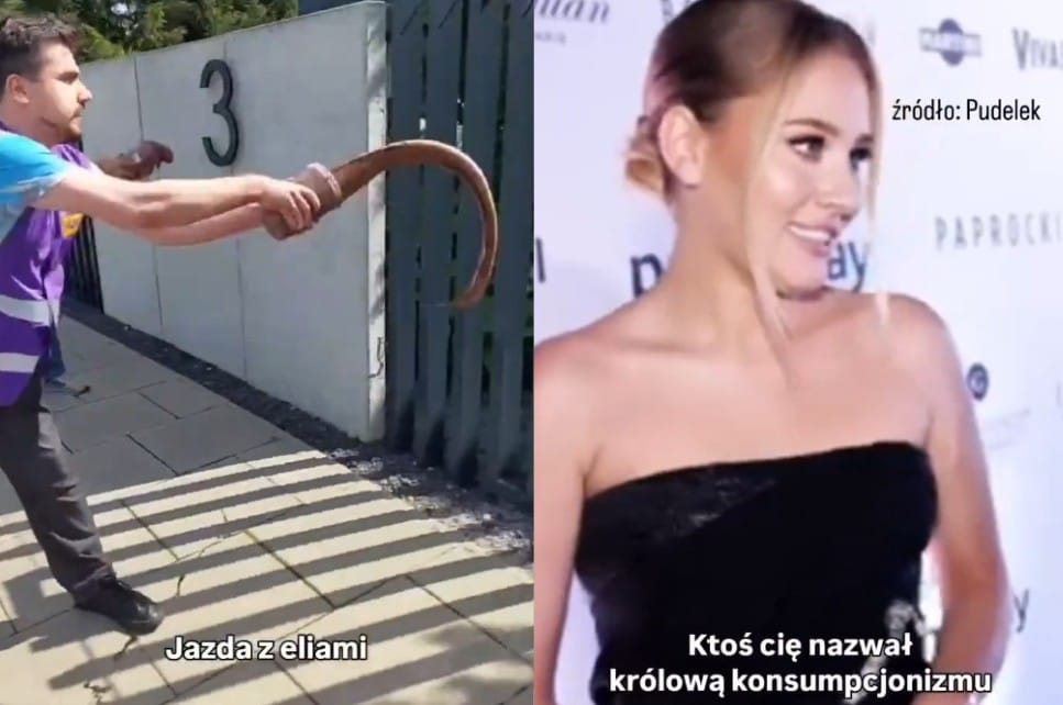 Ruch klimatyczny oblał sztucznymi odchodami dom Andziaks i Luki. Oberwało się też Rozenek-Majdan Zdjęcie główne wpisu