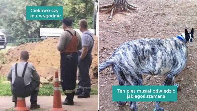 15 zdjęć, które trudno zrozumieć na pierwszy rzut oka Zdjęcie główne wpisu