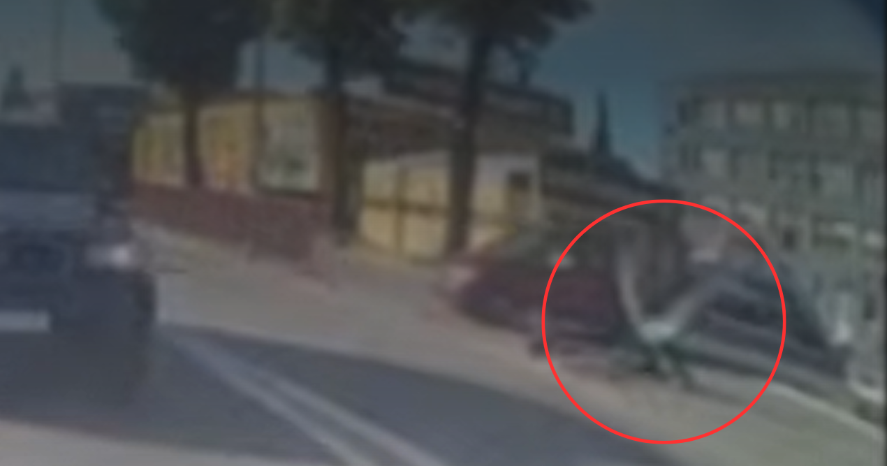 17-latek na hulajnodze przeleciał przez auto i runął na asfalt. Jechał bez kasku, trafił do szpitala Zdjęcie główne wpisu
