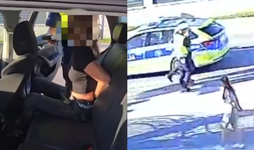 Pijany kierowca Audi kopał policjantów, pasażerka mu pomagała. Ukrainiec zostanie deportowany Zdjęcie wpisu