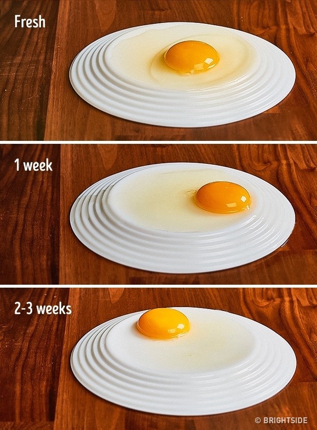 Aby sprawdzić czy jajo jest świeże, zwróć uwagę na okrąg wokół żółtka.