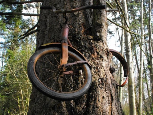Rower przyczepiony do małego drzewa pozostawiony na zawsze 