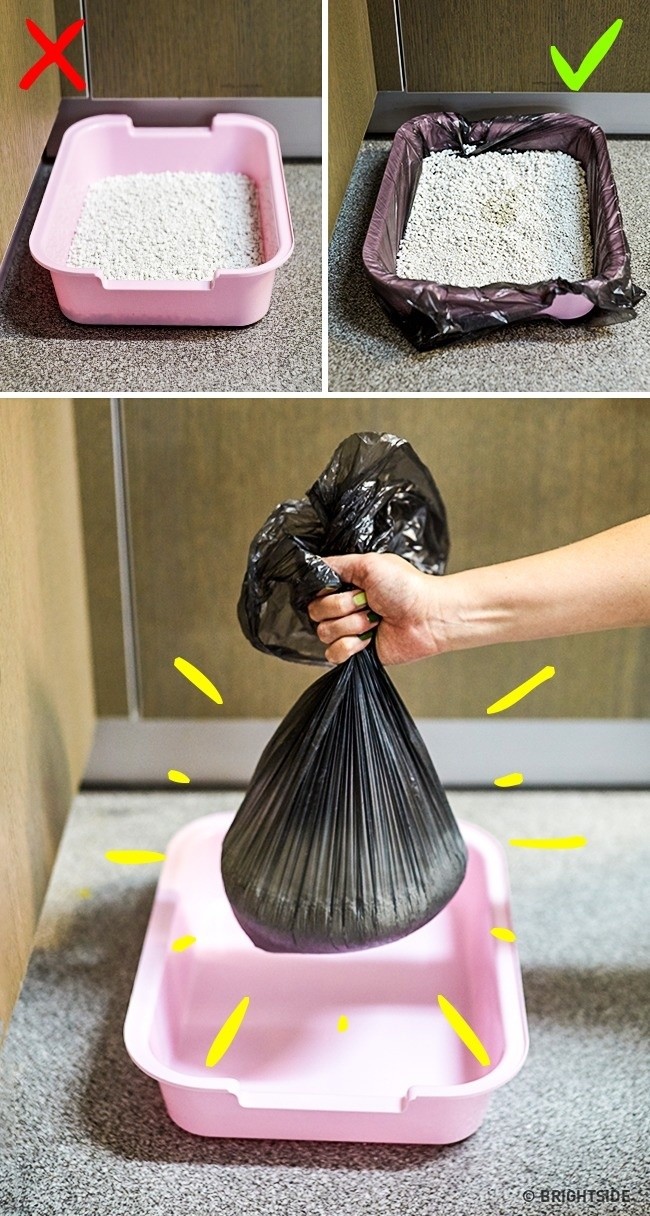 1. Przed napełnieniem kuwety, rozłóż w niej worek na śmieci. Czyszczenie stanie się o wiele prostsze.