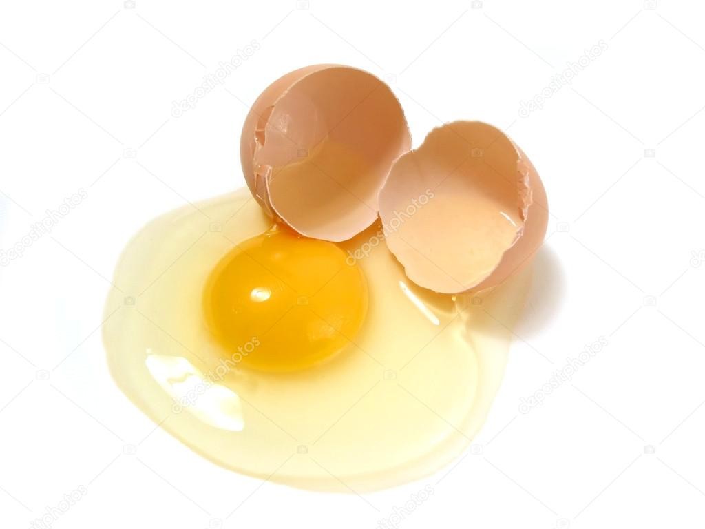 Białko jajka