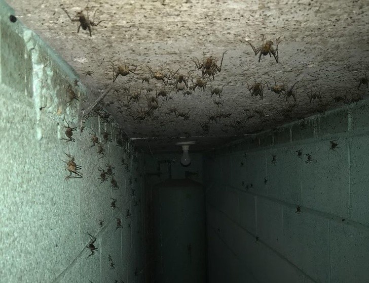 „Tuż pod naszym domem znajduje się bunkier. To tam zrobiłem to przerażające zdjęcie”