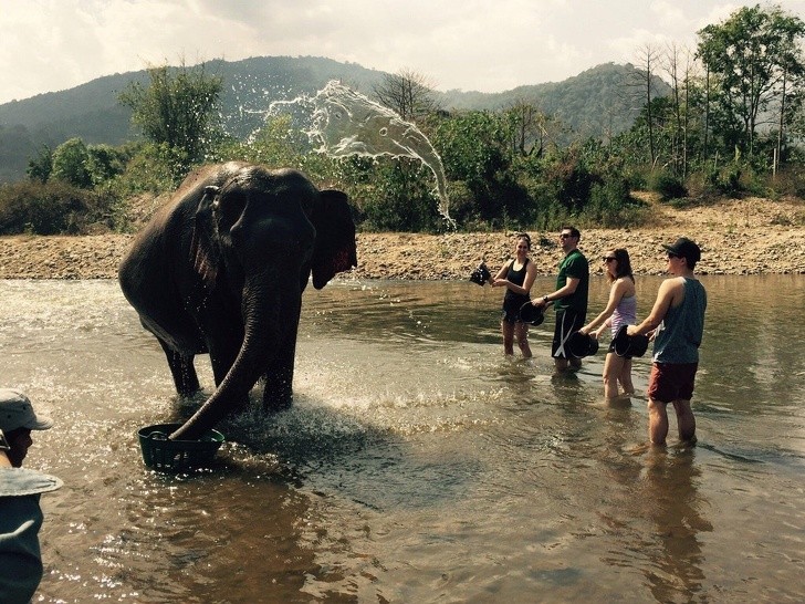 Słoń polewany wodą która ma kształt słonia 
