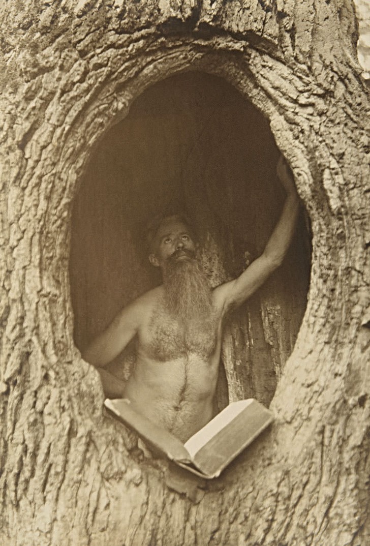 Siedzący w ogromnym, wydrążonym drzewie mężczyzna, który czyta książkę, 1900 rok