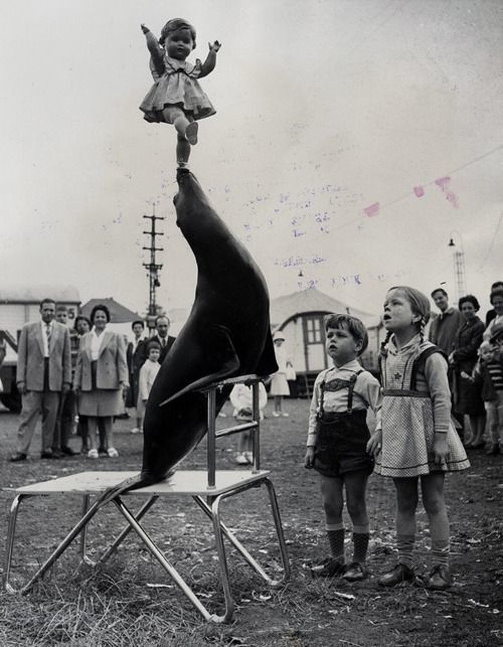 Cyrkowa sztuczka, 1933 rok