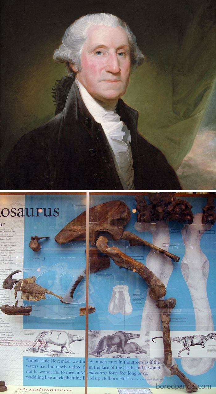 5. George Washington zmarł w 1799 roku. Pierwsze pozostałości dinozaurów wykopane zostały w 1824. George Washington nie miał pojęcia o istnieniu dinozaurów.