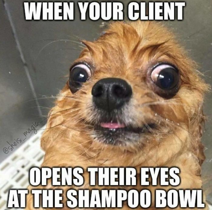 Kiedy twoja klientka otwiera oczy podczas mycia włosów szamponem
