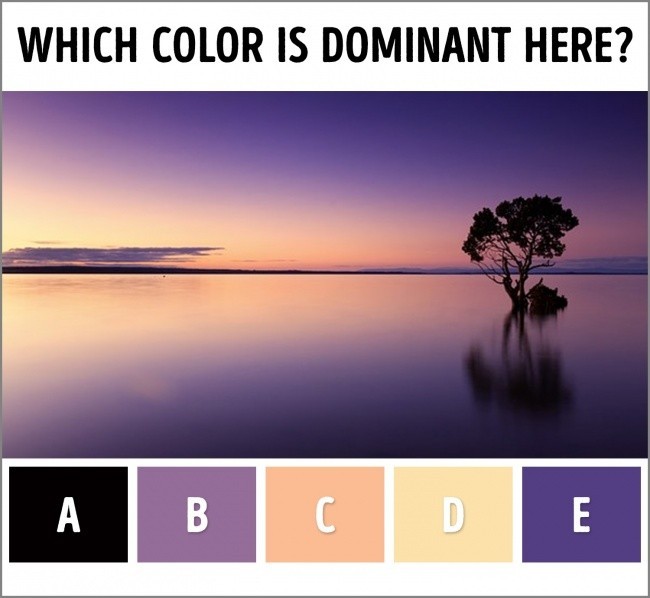 1. Który kolor dominuje na zdjęciu?