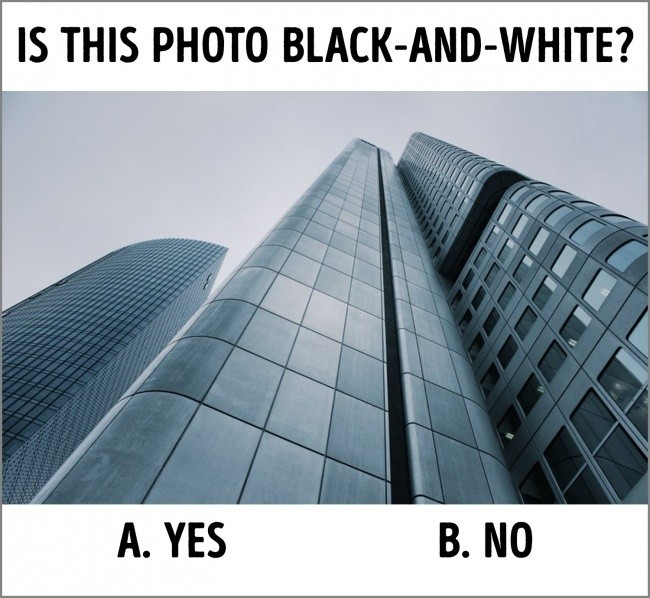 3. Czy poniższe zdjęcie jest czarno-białe? A. Tak B. Nie