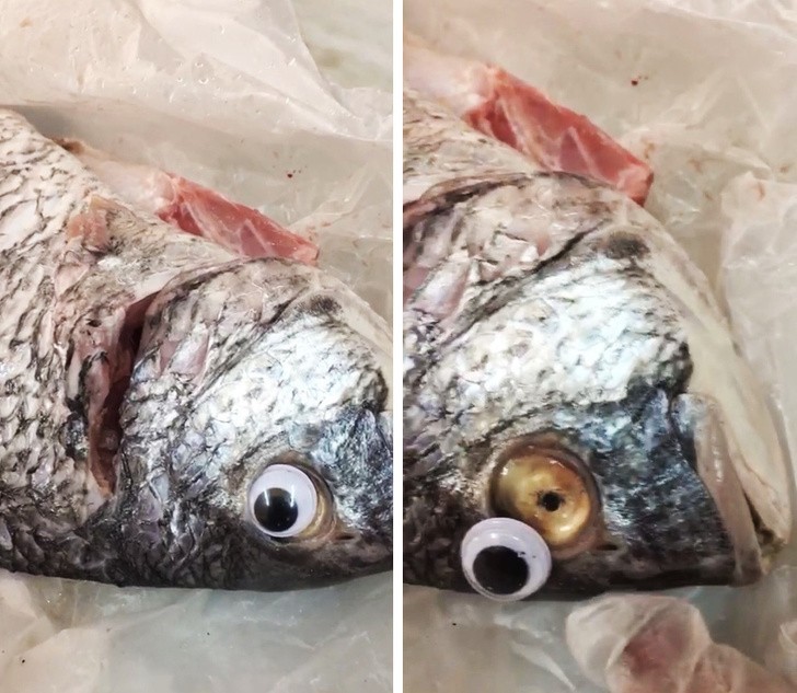 Policja zamknęła sklep rybny, który używał plastikowych oczu aby ryby wydawały się świeższe.