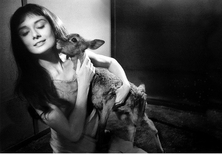 10. Audrey Hepburn i jej pupil – mały jelonek, 1958