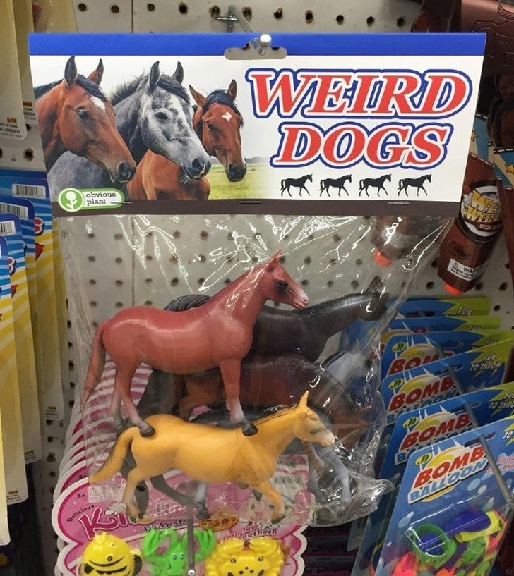 „Dziwne psy” - rzeczywiście.