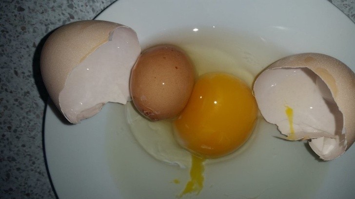 „Nasza kura złożyła jajo, wewnątrz którego było mniejsze jajo.”