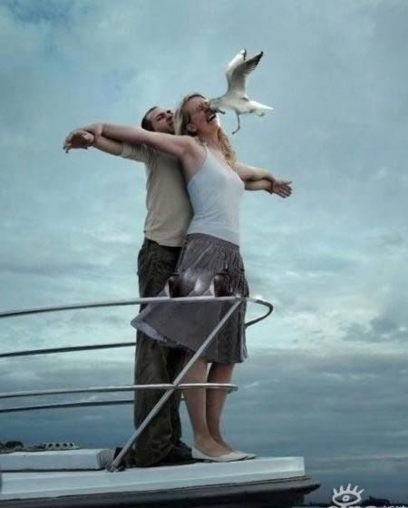 #20. Nawet ten ptak ma dość ludzi odgrywających scenę z Titanica