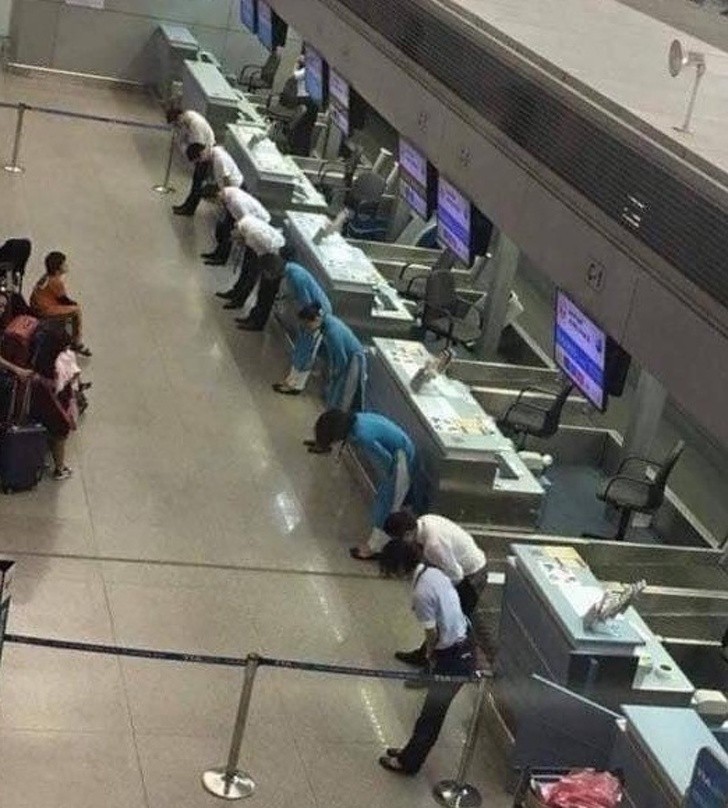 15. Pracownicy lotniska kłaniają się pasażerom  aby przeprosić za opóźniony lot.