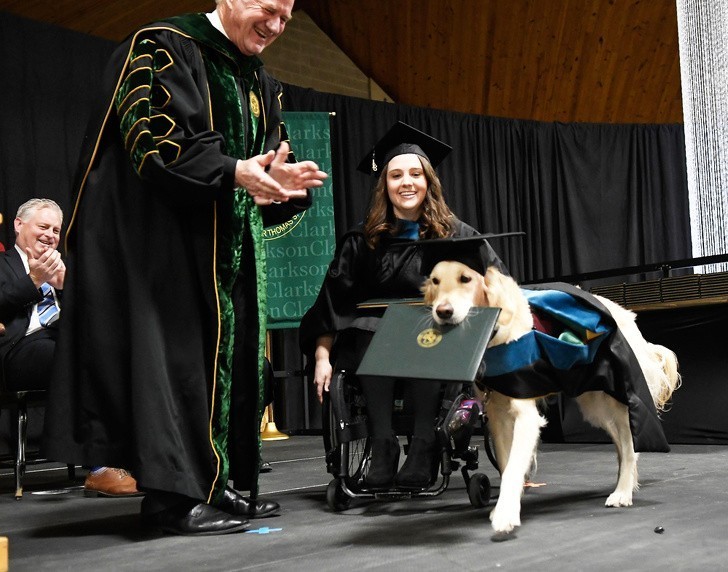 Pies pomocnik otrzymał tytuł magistra po tym jak uczestniczył w każdych zajęciach na Clarkson University, wraz ze swoją panią.