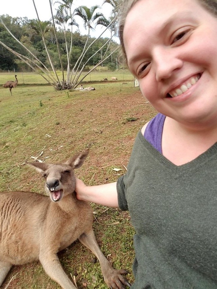 6. „Zrobiłam sobie zdjęcie z uśmiechniętym kangurem”