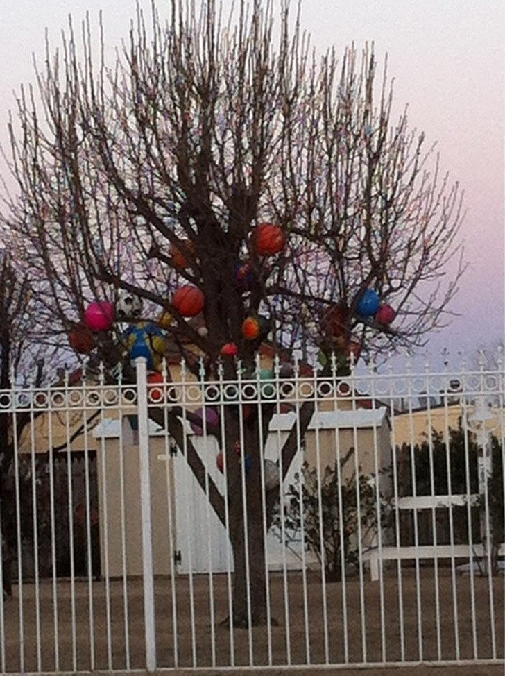 11. „Kiedy piłki wpadają na podwórko mojego sąsiada, wiesza je na drzewie, żeby nikt nie mógł ich odzyskać.”
