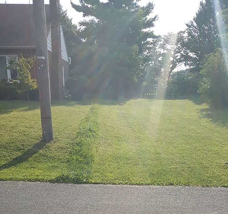 15. „Kosiłem trawnik mojego starszego sąsiada. Następnego dnia, sąsiedzi kosili swój. Najwyraźniej nie wykosiłem swojej części do końca.”