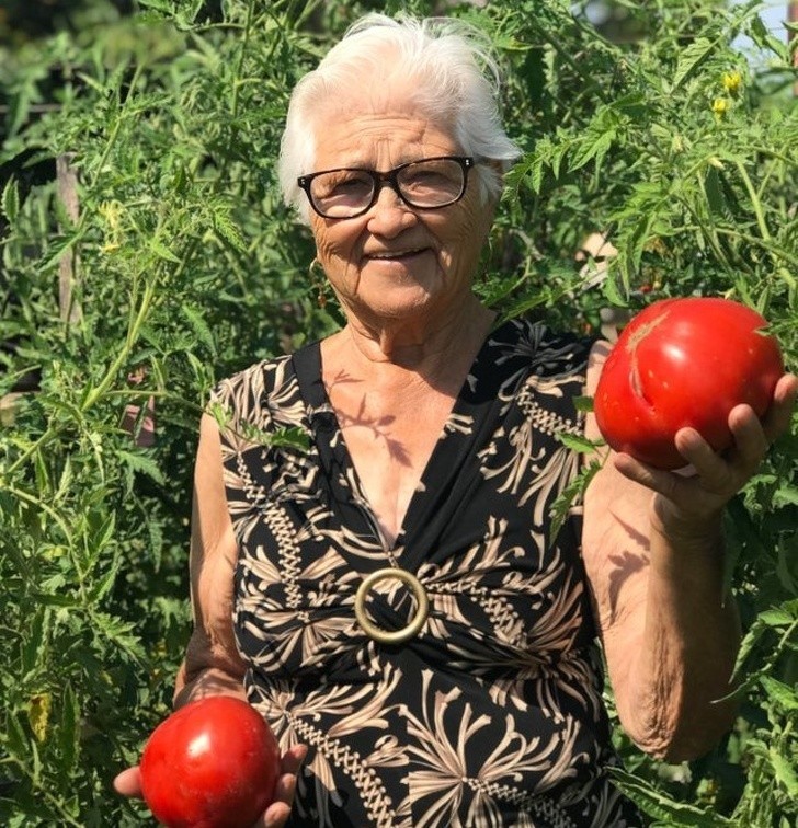 „Moja babcia chciała abym umieścił to zdjęcie w internecie, aby całe Włochy mogły zobaczyć jak urosły jej pomidory.”