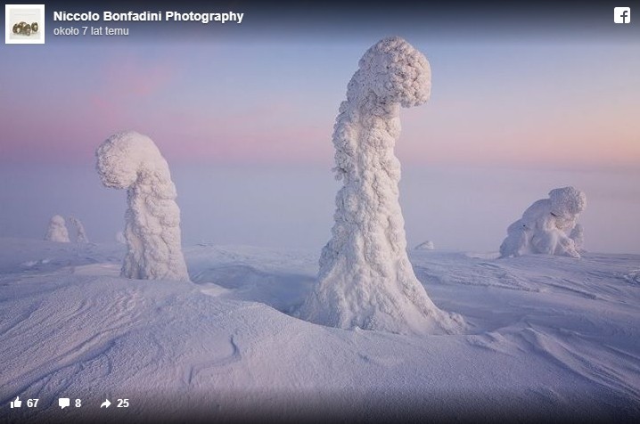 Zamrożone drzewa zwane Strażnikami Arktyki. 