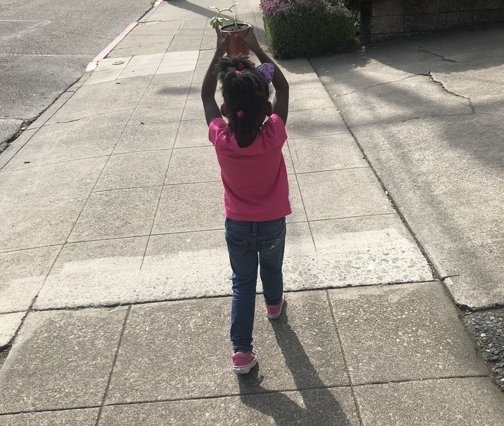 Kiedy moja córka zorientowała się, że nasza roślinka nie otrzymuje wystarczająco promieni słonecznych, zabrała ją na spacer po całej okolicy.