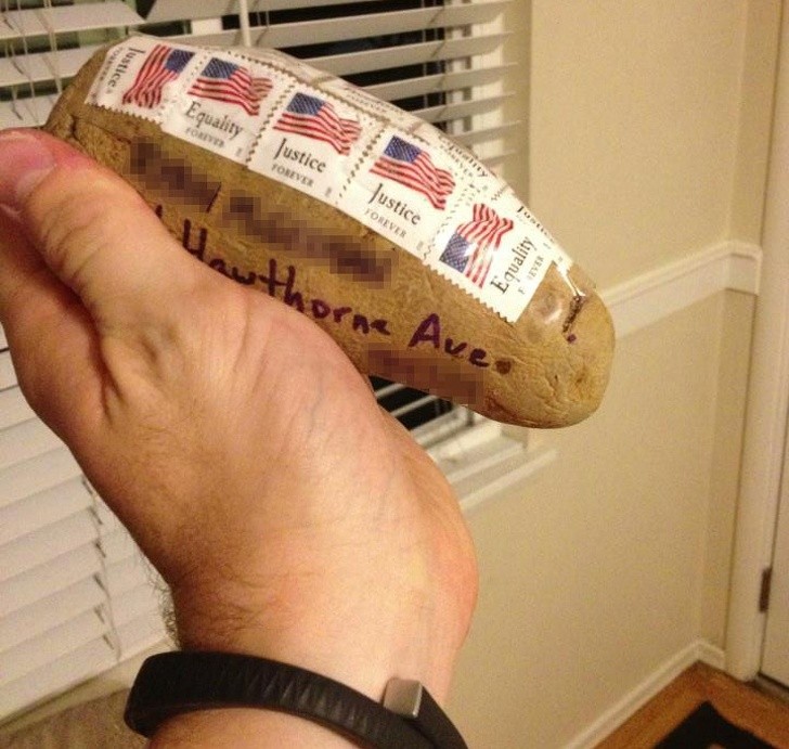 Jego brat wysłał mu pocztą ziemniaka, bo dlaczego nie?