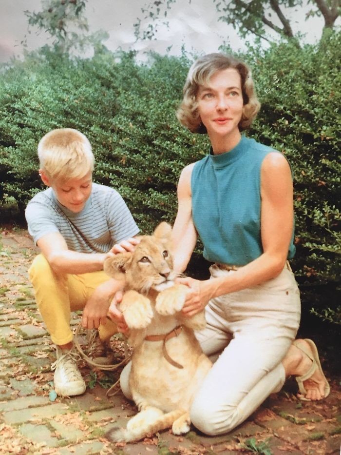 Mój tata i moja babcia z ich lwem którego wychowywali przez 2 lata, 1959.