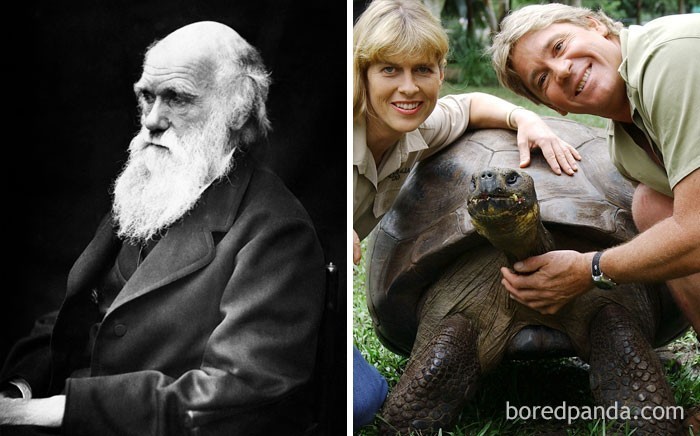 2. Żółwica Harriet, która zmarła w 2006 roku, widziała Charlesa Darwina na żywo