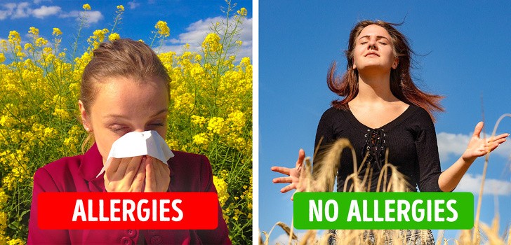 7. Łagodzą objawy alergii