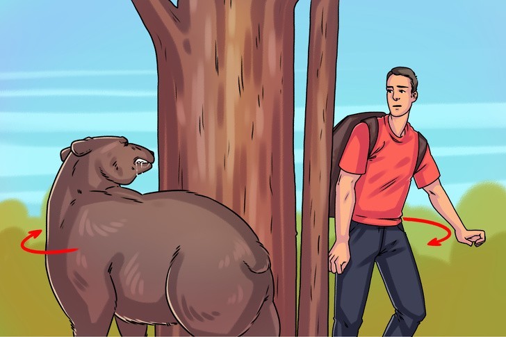 Spotkanie z agresywnym niedźwiedziem