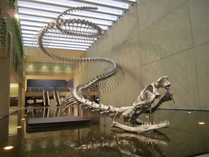 Titanoboa istniał naprawdę