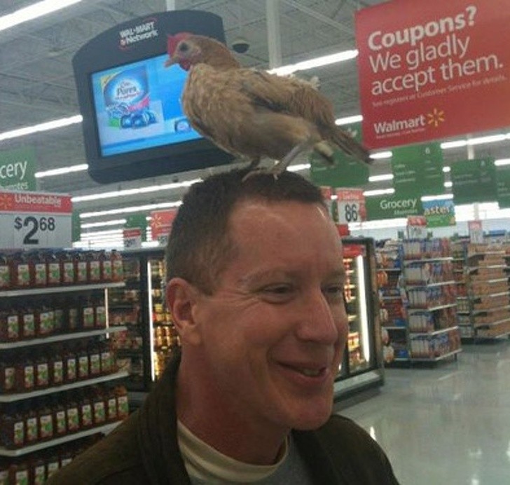 To wspaniały kurczak, proszę pana. Należy się $9.99.