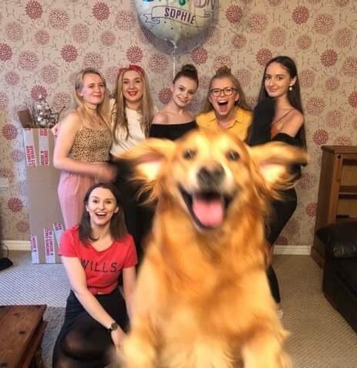 Ten pies naprawdę chciał być na grupowym zdjęciu.