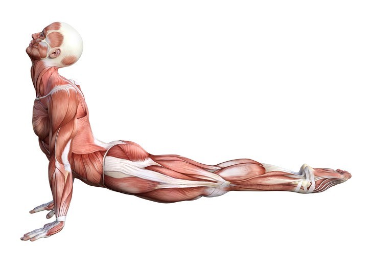 8. Rozciąganie mięśni brzucha