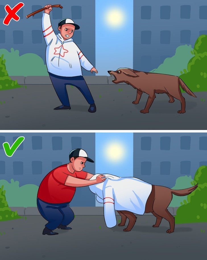 Jeśli pies atakuje: