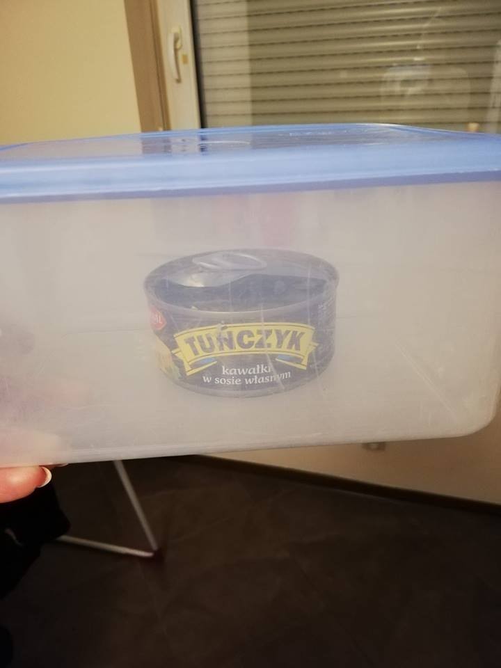 Jak otworzysz tuńczyka, to przełóż go do pudełka – napisała jedna z internautek dodając zdjęcie po realizacji zadania przez jej ukochanego