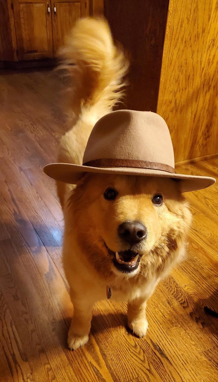 "Lubię zakładać kapelusze psu mojego dziadka, a on lubi je nosić."