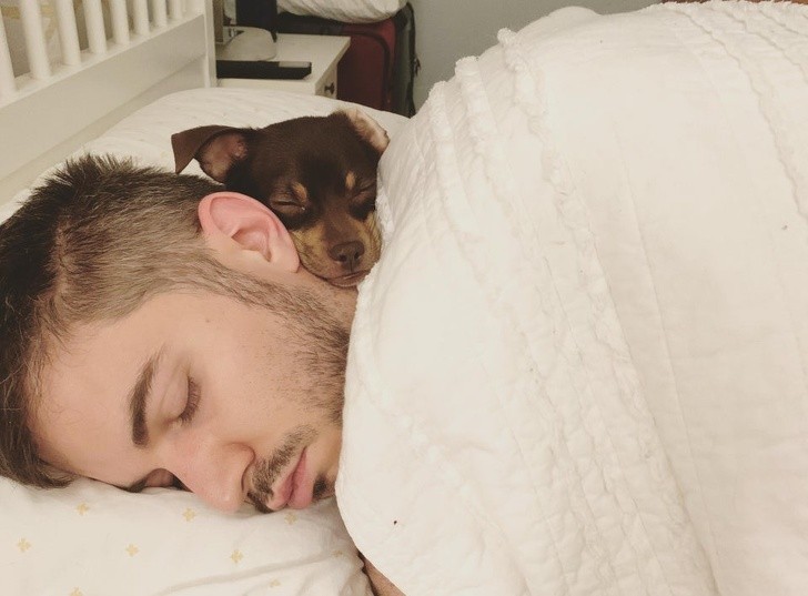 "Nasz pies lubi wykorzystywać mojego chłopaka jako poduszkę."