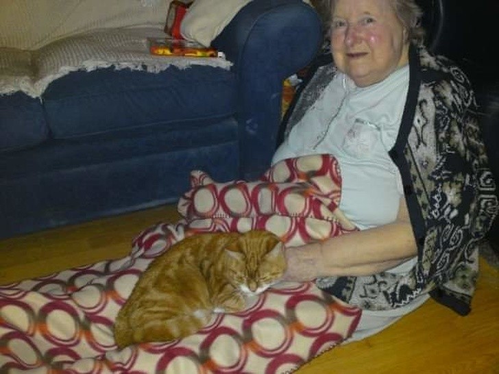 „Jakiś czas temu moja babcia potknęła się i niefortunnie upadła, a nasz kot Colin był przy niej aż do przyjazdu karetki.”