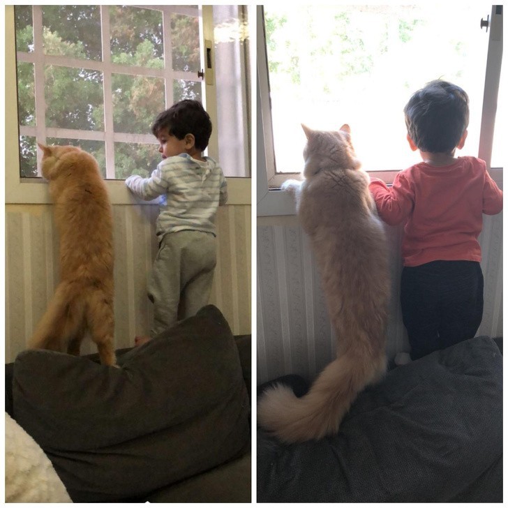 „Mój syn i nasz kot, każdego dnia”