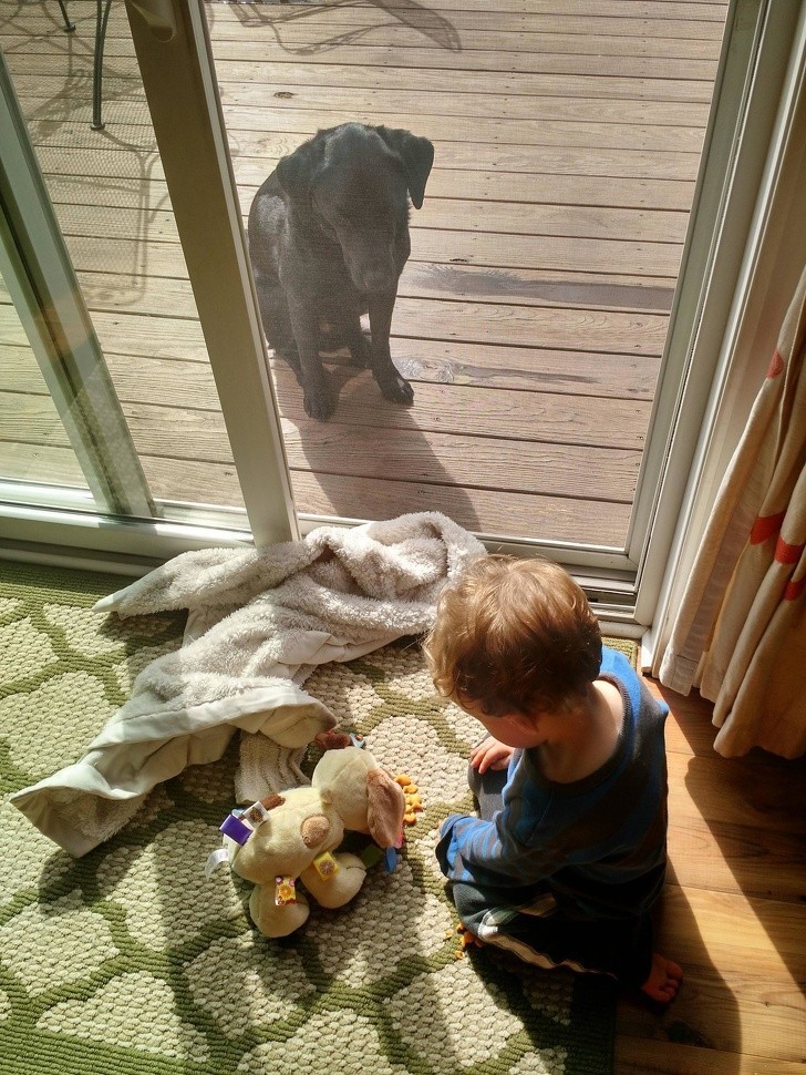 2. „Mój syn karmi pluszowego psa złotą rybką, podczas gdy prawdziwy pies siedzi wkurzony na zewnątrz.”