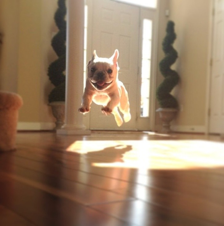 „Popatrz, umiem latać!”
