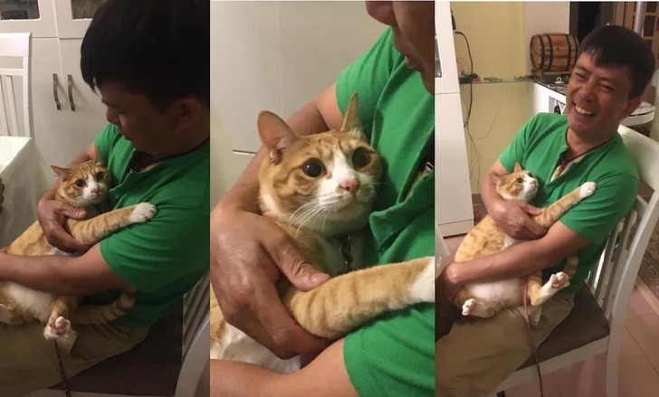 "Mój tata adoptował kota 2 lata temu. Wczoraj, po raz pierwszy dał się przytulić."