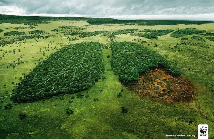 4. Potrzebujemy drzew by przetrwać