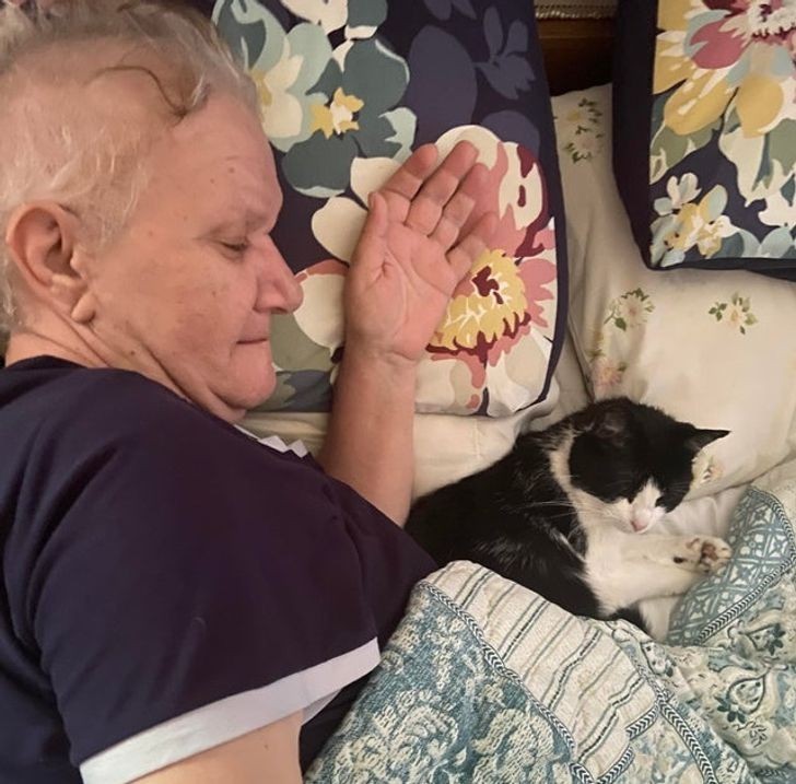 "Nasza przygarnięta kotka panicznie boi się ludzi. Gdy moja mama wróciła z chemioterapii, udało jej się przytulić."