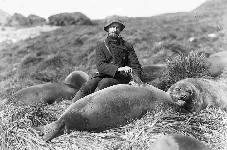 16. Arthur Sawyer i młody słoń morski, 1912